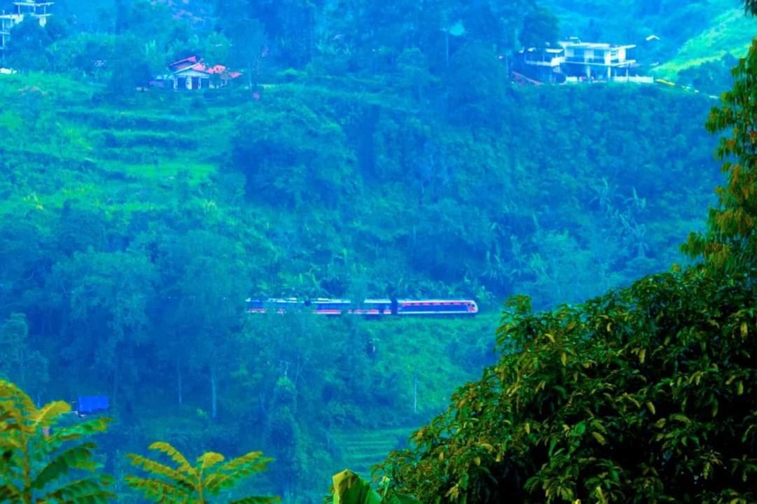 New Green View Resort إيلا المظهر الخارجي الصورة
