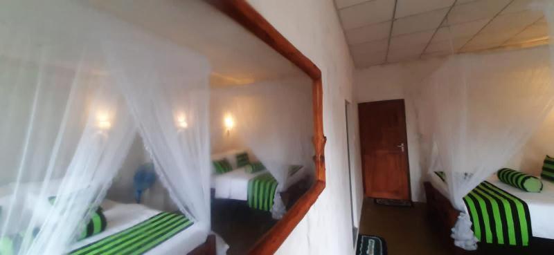 New Green View Resort إيلا المظهر الخارجي الصورة