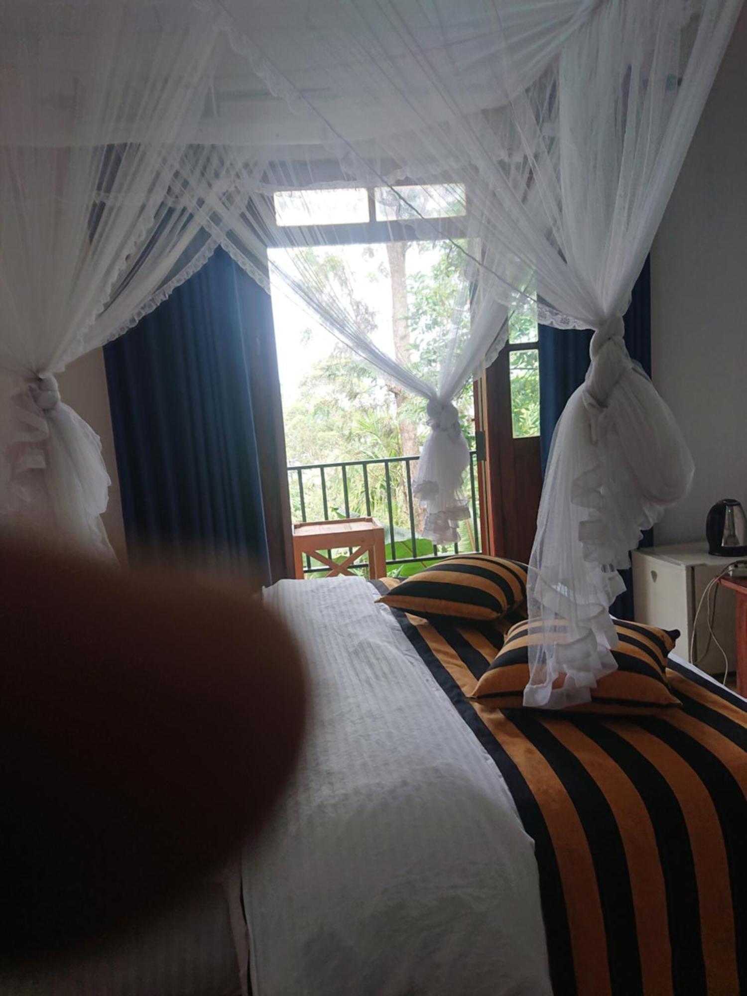 New Green View Resort إيلا المظهر الخارجي الصورة