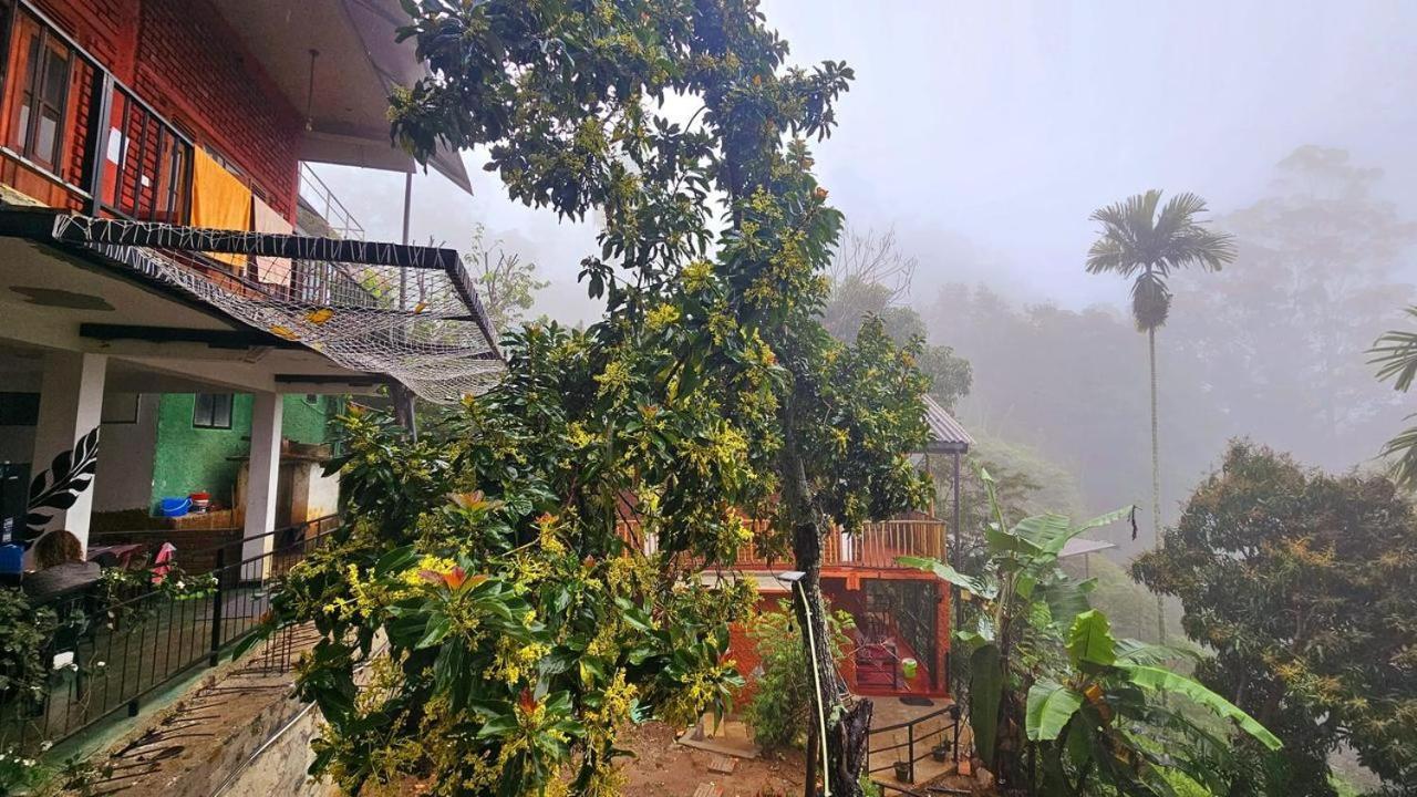 New Green View Resort إيلا المظهر الخارجي الصورة